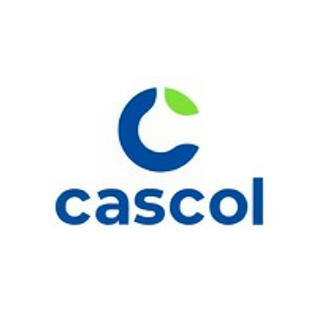 Rede Cascol